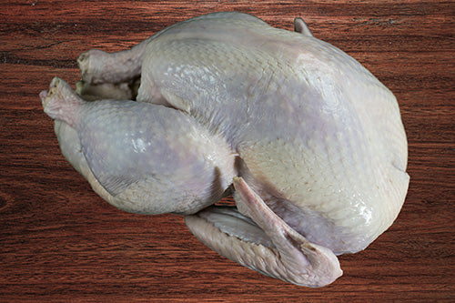 Lancaster County Fresh Turkey                                                               NOW AVAILABLE FOR THANKSGIVING PREORDER!