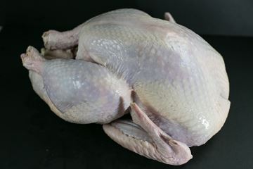 Lancaster County Fresh Turkey